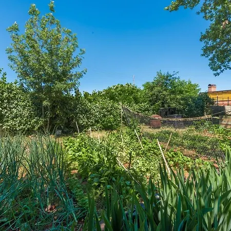 Casa Ajla With Private Pool Дом отдыха *