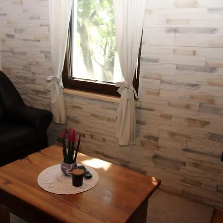 Casa Ajla With Private Pool Holiday home Velovici