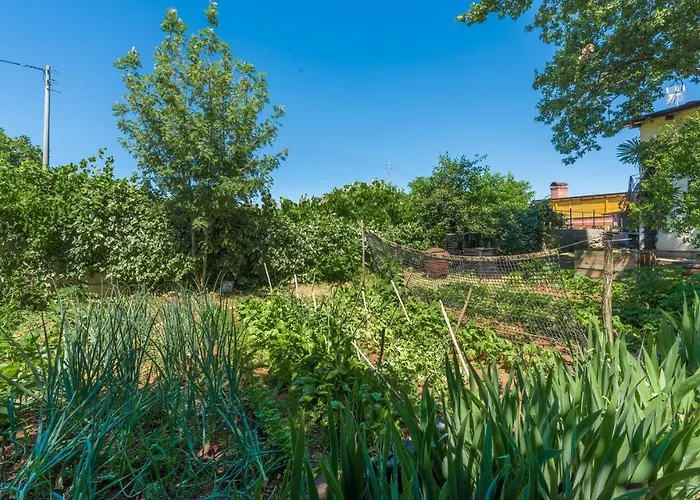 Casa Ajla With Private Pool Vakantiehuis *